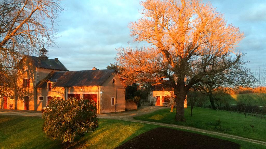 B&B Chateau De Preuil Vallenay Ngoại thất bức ảnh